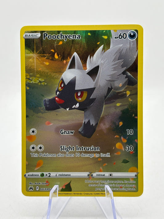 Pokemon TCG Crown Zenith - Poochyene GG33/GG70 Full Art NM