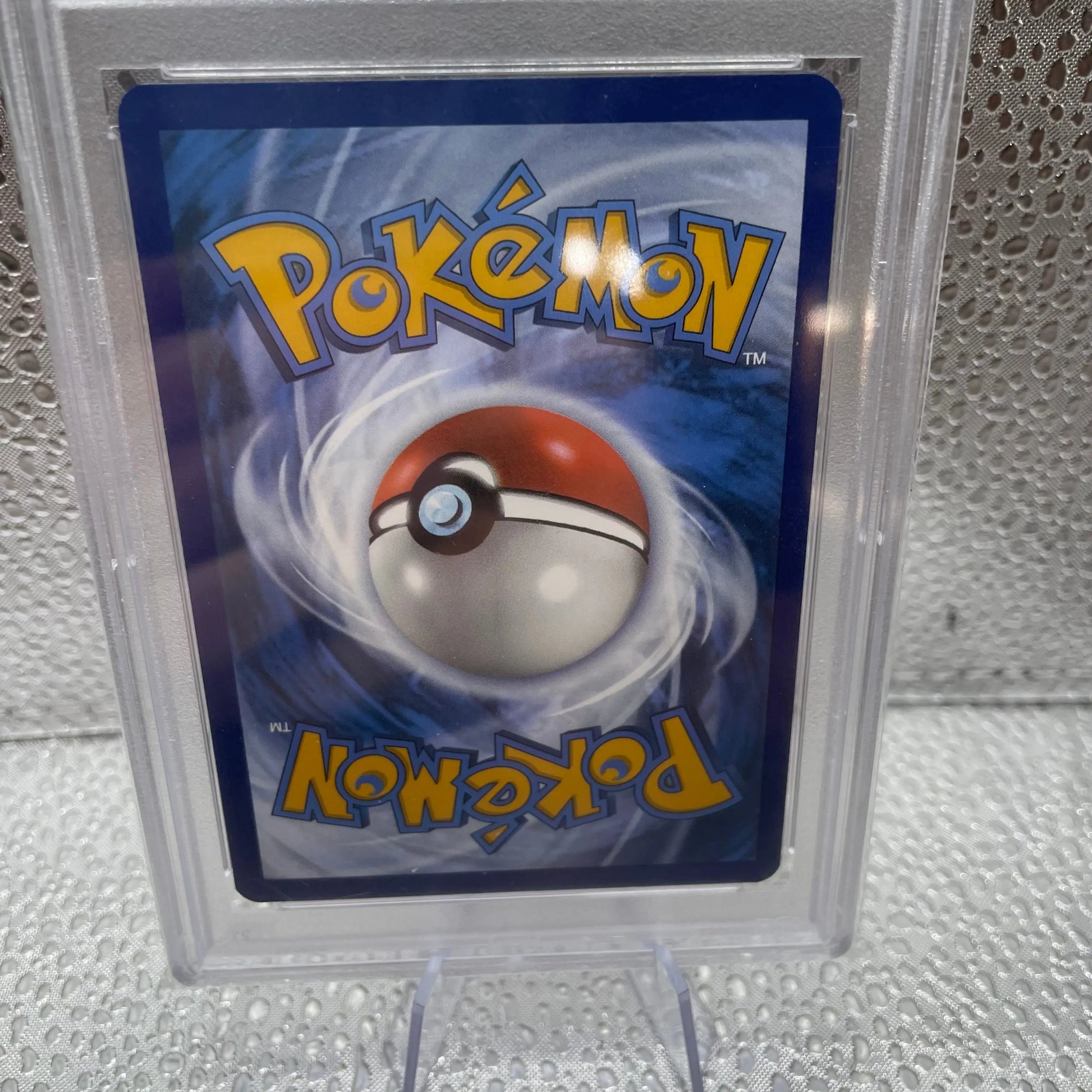 Charmander EB Games Exclusive 2023 004 Gem Mint 10 PSA GRADED Slab Pokemon TCG FRENLY BRICKS - Open 7 Days