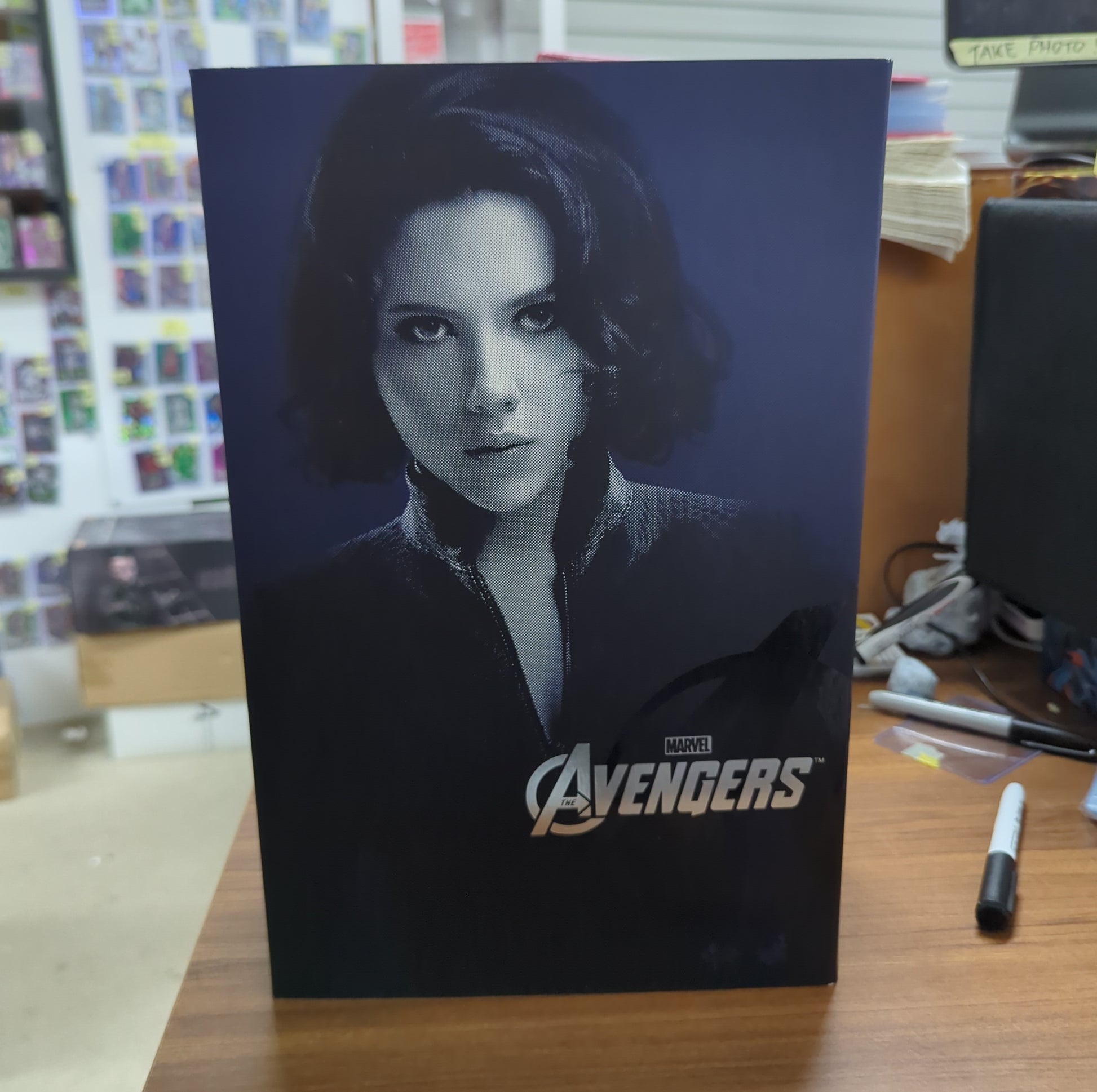 HOT TOYS 1/6 MARVEL THE AVENGERS MMS178 BLACK WIDOW FIGURE. FRENLY BRICKS - Open 7 Days