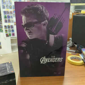 HOT TOYS 1/6 MARVEL AVENGERS MMS172 HAWKEYE CLINTON BARTON ACTION FIGURE FRENLY BRICKS - Open 7 Days