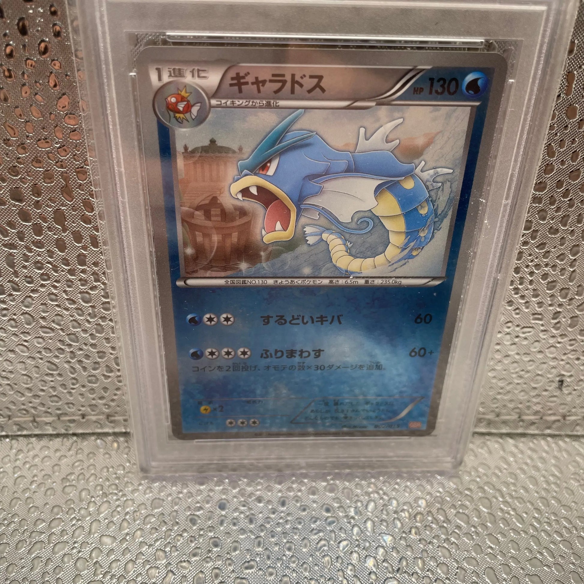 Gyarados Holo 2012 Japanese Garchomp Half Deck PSA 9 Mint FRENLY BRICKS - Open 7 Days