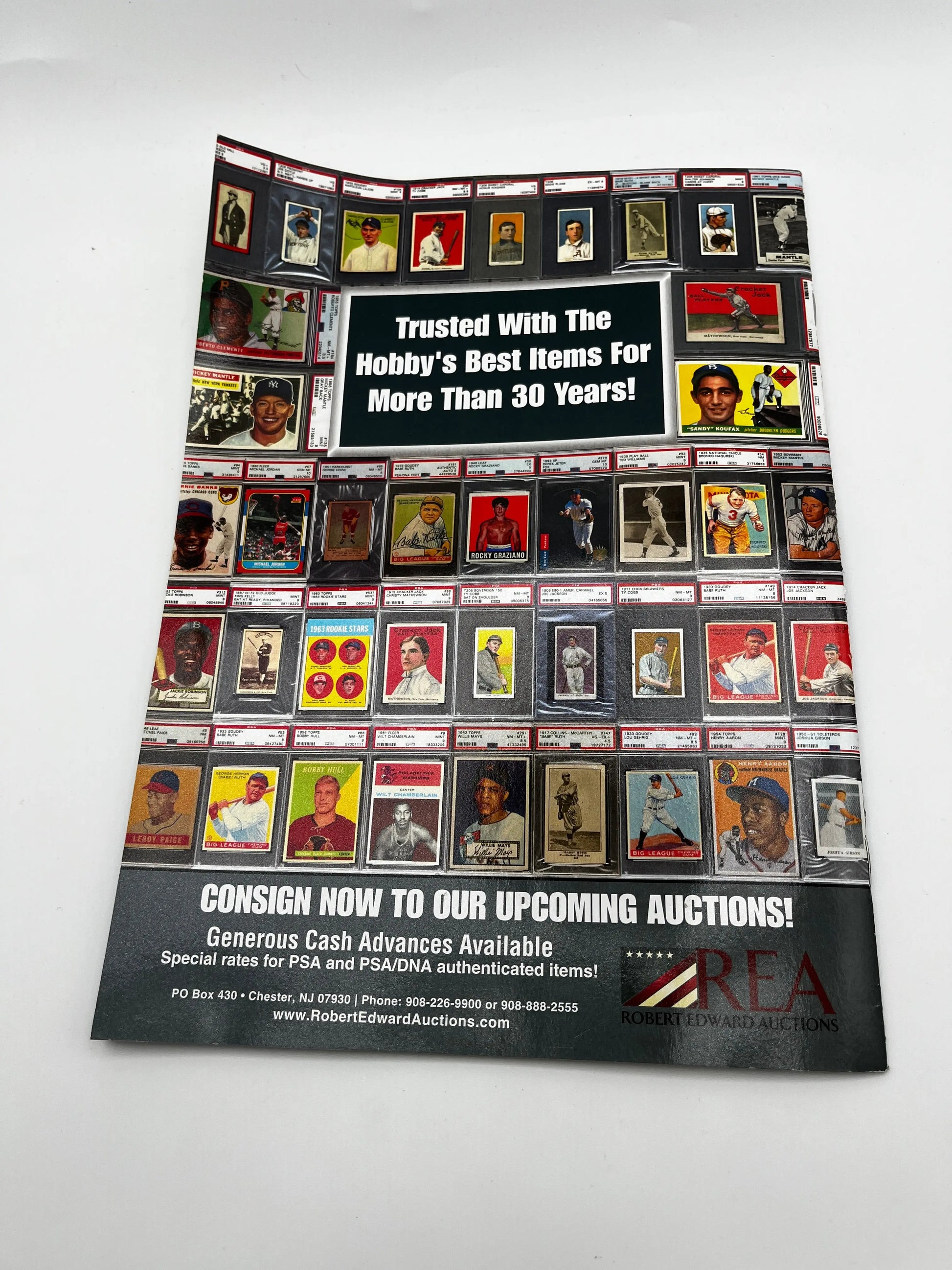 PSA Magazine & Buyer’s guid Bundle FRENLY BRICKS - Open 7 Days