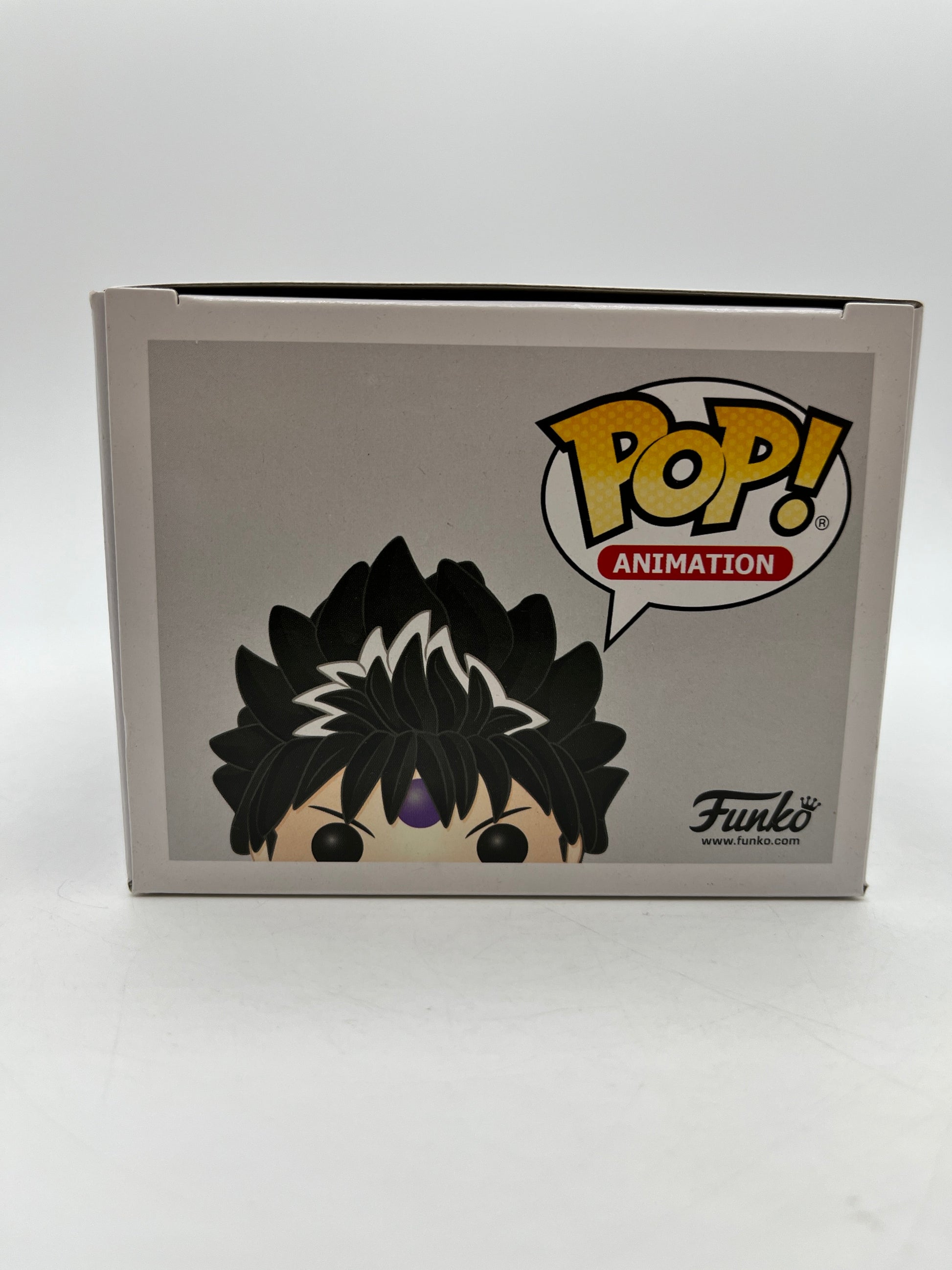 Funko POP! Animation Ghost Files YuYu Hakusho - Hiei #547 - Special Edition FRENLY BRICKS - Open 7 Days