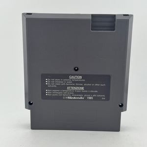 Disney Adventures in the Magic Kingdom - Nintendo (NES) [PAL]