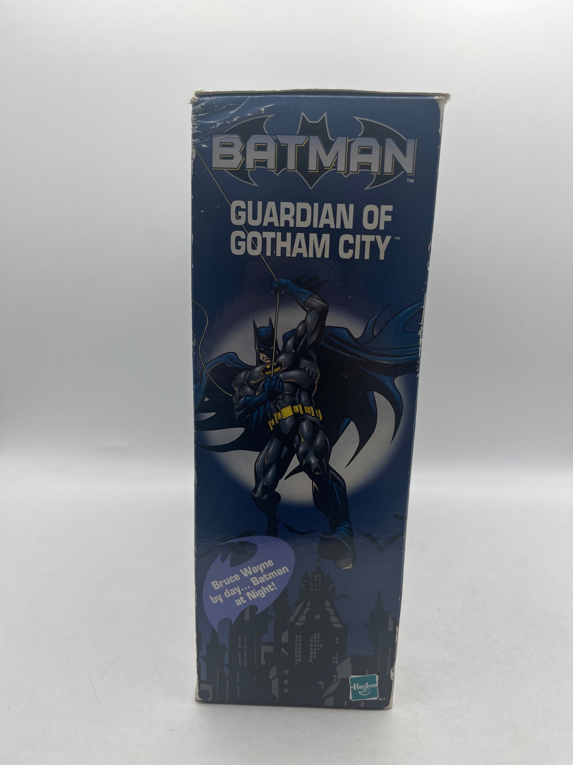 BATMAN Bruce Wayne Guardian Of Gotham City Hasbro Target Exclusive FRENLY BRICKS - Open 7 Days