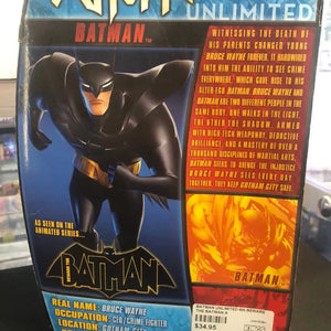 Batman Unlimited BEWARE THE BATMAN DC Comics Action Figure Animated 2013 FRENLY BRICKS - Open 7 Days