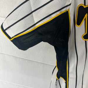 Nippon Baseball Hanshin Tigers “Hiyama #24” White Jersey Large