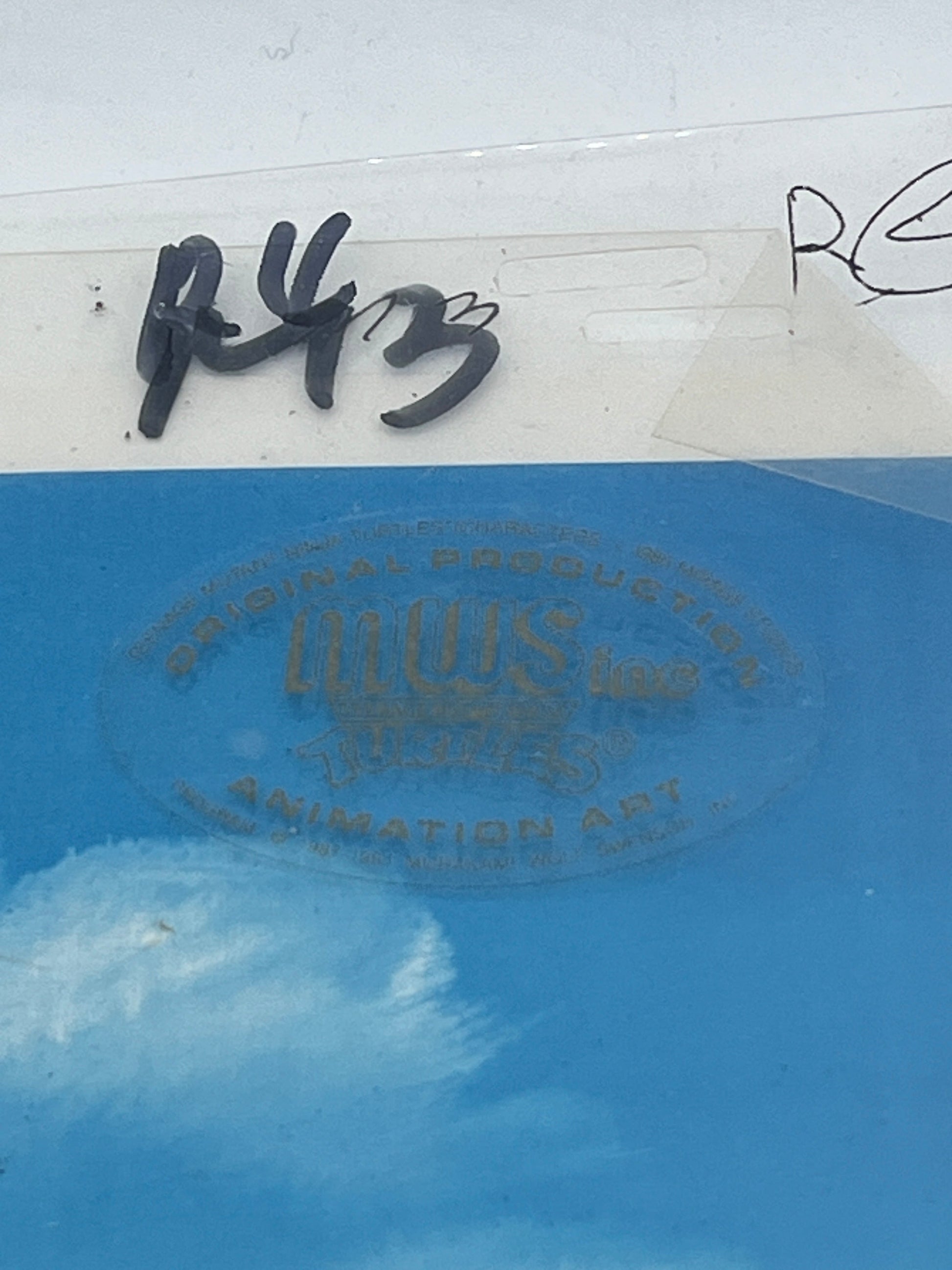 1987 Animation’s Production Cel - TMNT - “Raphael & Michelangelo” Hand Painted FRENLY BRICKS - Open 7 Days