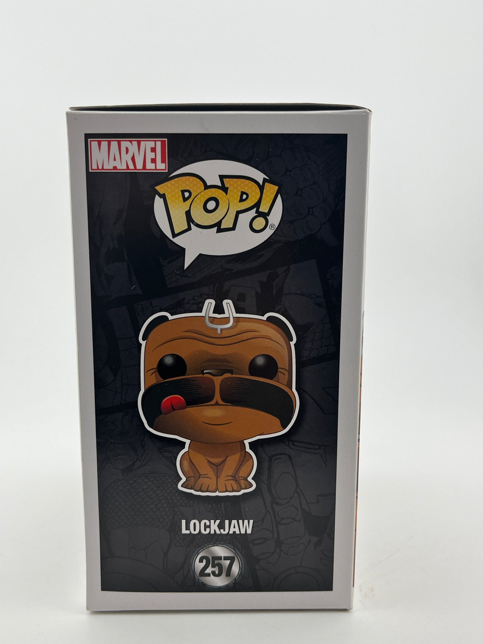 Funko POP! Marvel In Humans - Lockjaw #257 - Flocked 2017 Fall Exclusive FRENLY BRICKS - Open 7 Days