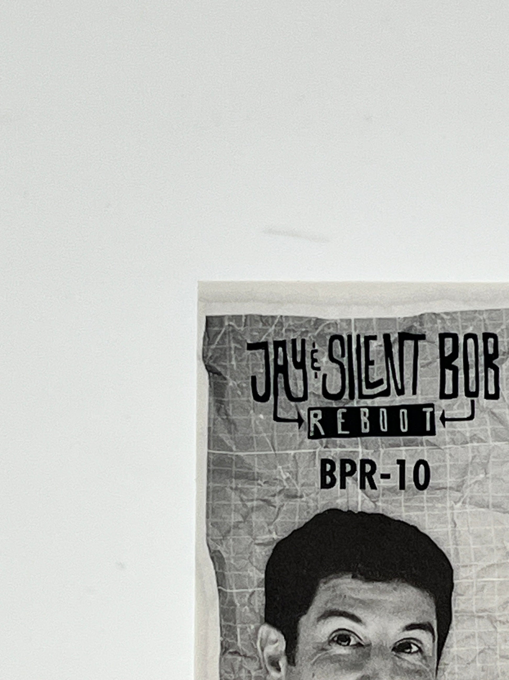 2023 Skybox Jay & Silent Bob Reboot 45/99 - Jason Biggs as Himself Auto FRENLY BRICKS - Open 7 Days