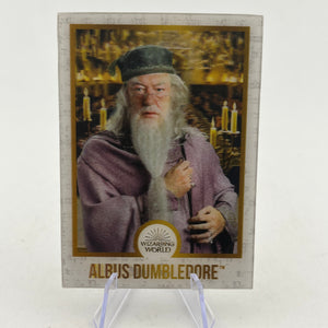 Albus Dumbledore Lenticular3D Wizard Collectible ChocolateFrog Card Harry Potter FRENLY BRICKS - Open 7 Days