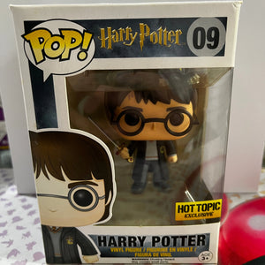 Funko Pop Vinyl Hot Topic Exclusive Harry Potter #09 FRENLY BRICKS - Open 7 Days