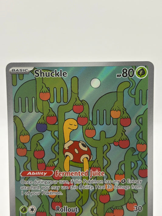 Pokemon TCG Mega Evolution - Shuckle 136/132 Illustration Rare Nm FRENLY BRICKS - Open 7 Days