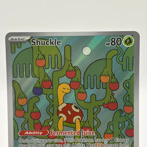 Pokemon TCG Mega Evolution - Shuckle 136/132 Illustration Rare Nm FRENLY BRICKS - Open 7 Days