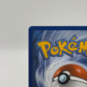 Pokemon TCG Mega Evolution - Shuckle 136/132 Illustration Rare Nm FRENLY BRICKS - Open 7 Days