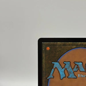 Magic The Gathering - Stormcarved Coast Rare Land #265/277 VOW LP FRENLY BRICKS - Open 7 Days