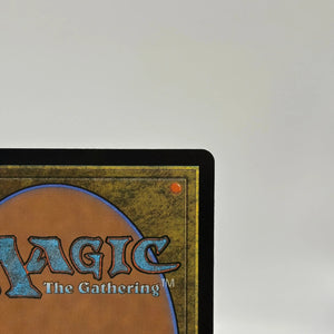 Magic The Gathering - Stormcarved Coast Rare Land #265/277 VOW LP FRENLY BRICKS - Open 7 Days