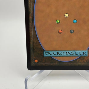 Magic The Gathering - Stormcarved Coast Rare Land #265/277 VOW LP FRENLY BRICKS - Open 7 Days