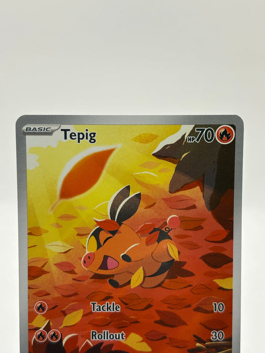Pokemon TCG White Flare - Tepig 096/086 Illustration Rare NM FRENLY BRICKS - Open 7 Days