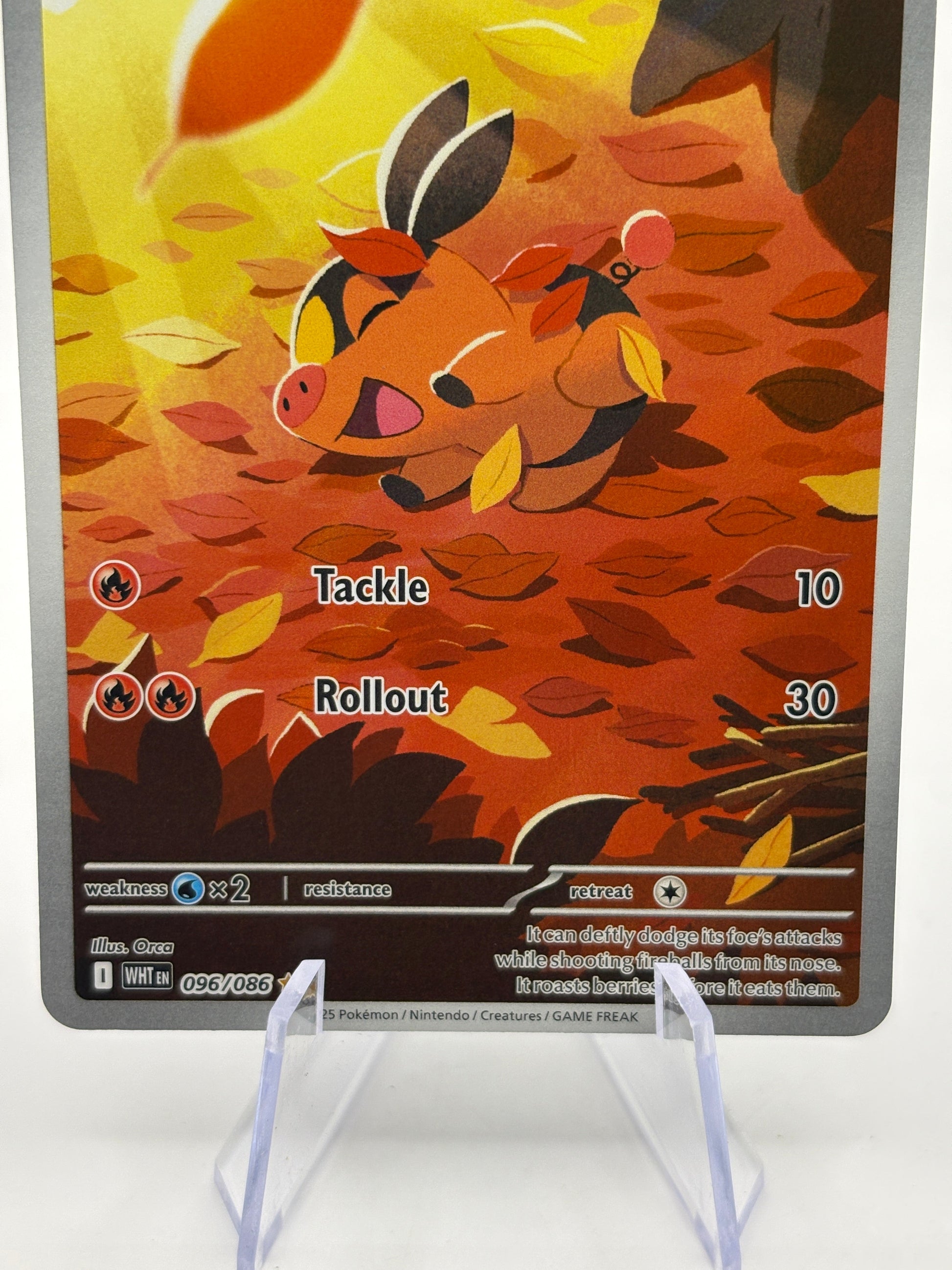 Pokemon TCG White Flare - Tepig 096/086 Illustration Rare NM FRENLY BRICKS - Open 7 Days