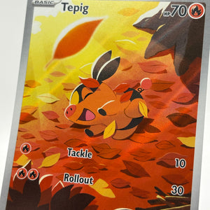 Pokemon TCG White Flare - Tepig 096/086 Illustration Rare NM FRENLY BRICKS - Open 7 Days