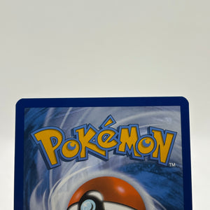 Pokemon TCG Temporal Forces - Litten 167/162 Illustration Rare NM FRENLY BRICKS - Open 7 Days