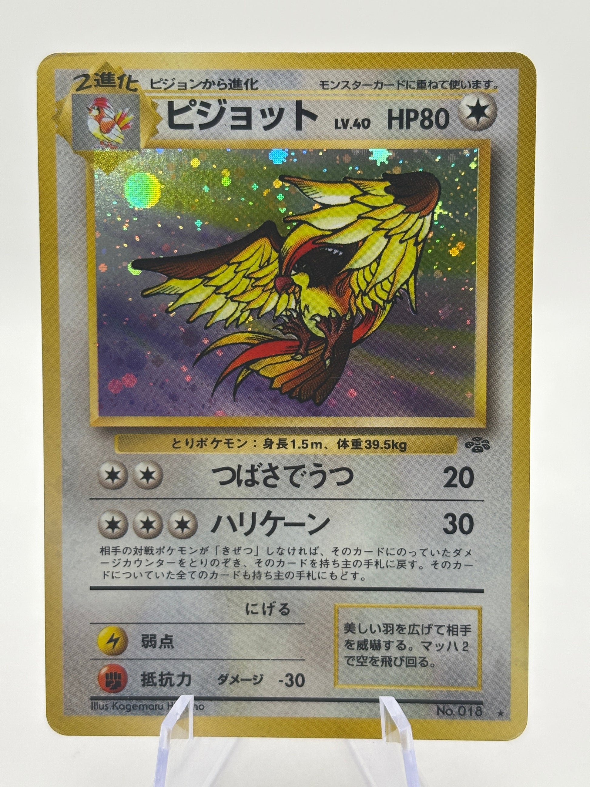 Pokemon TCG Jungle - Pidgeot #016 Holo Rare Heavily Played FRENLY BRICKS - Open 7 Days