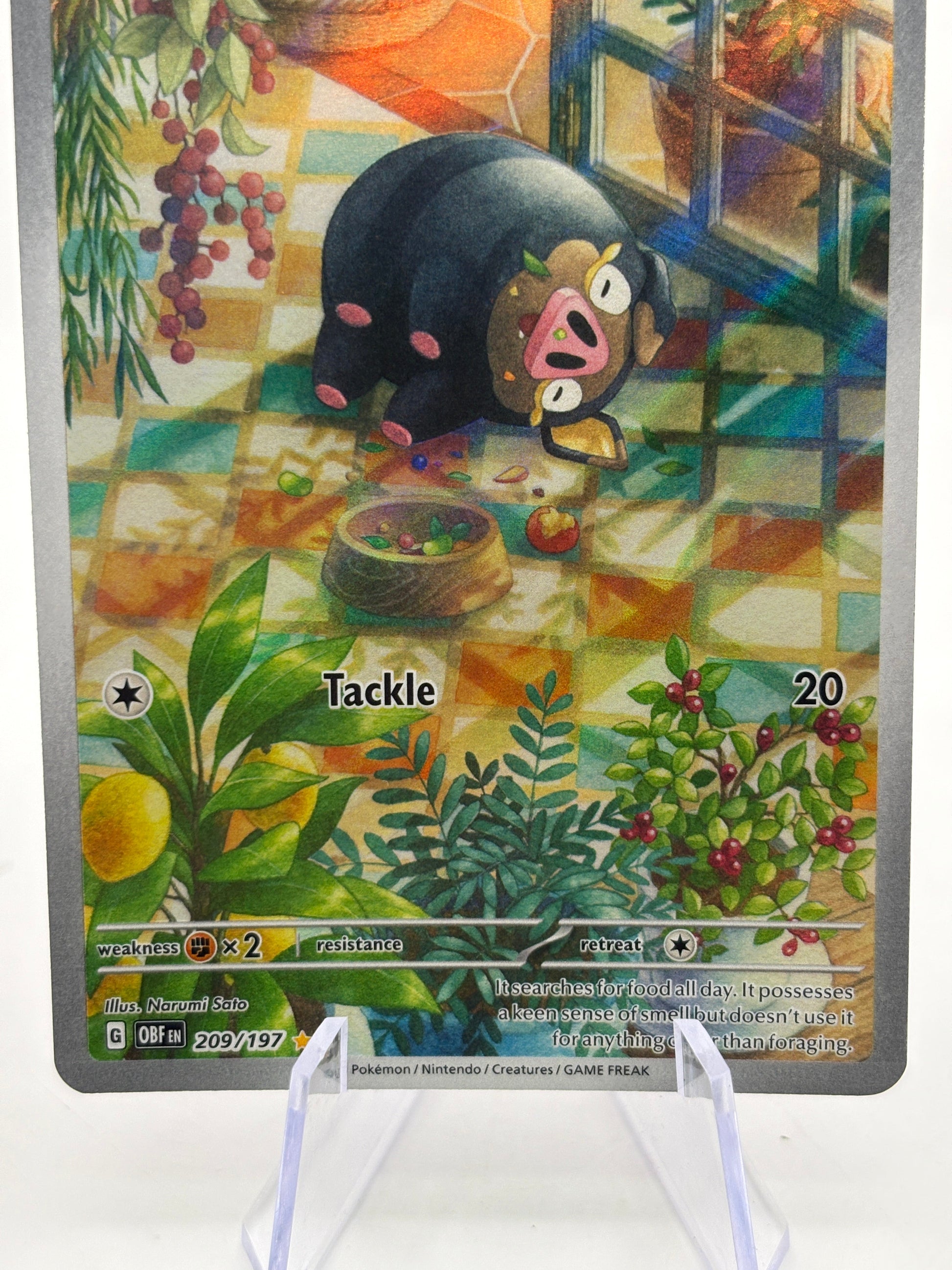Pokemon TCG Obsidian Flames - Lechonk 209/197 Illustration Rare NM FRENLY BRICKS - Open 7 Days