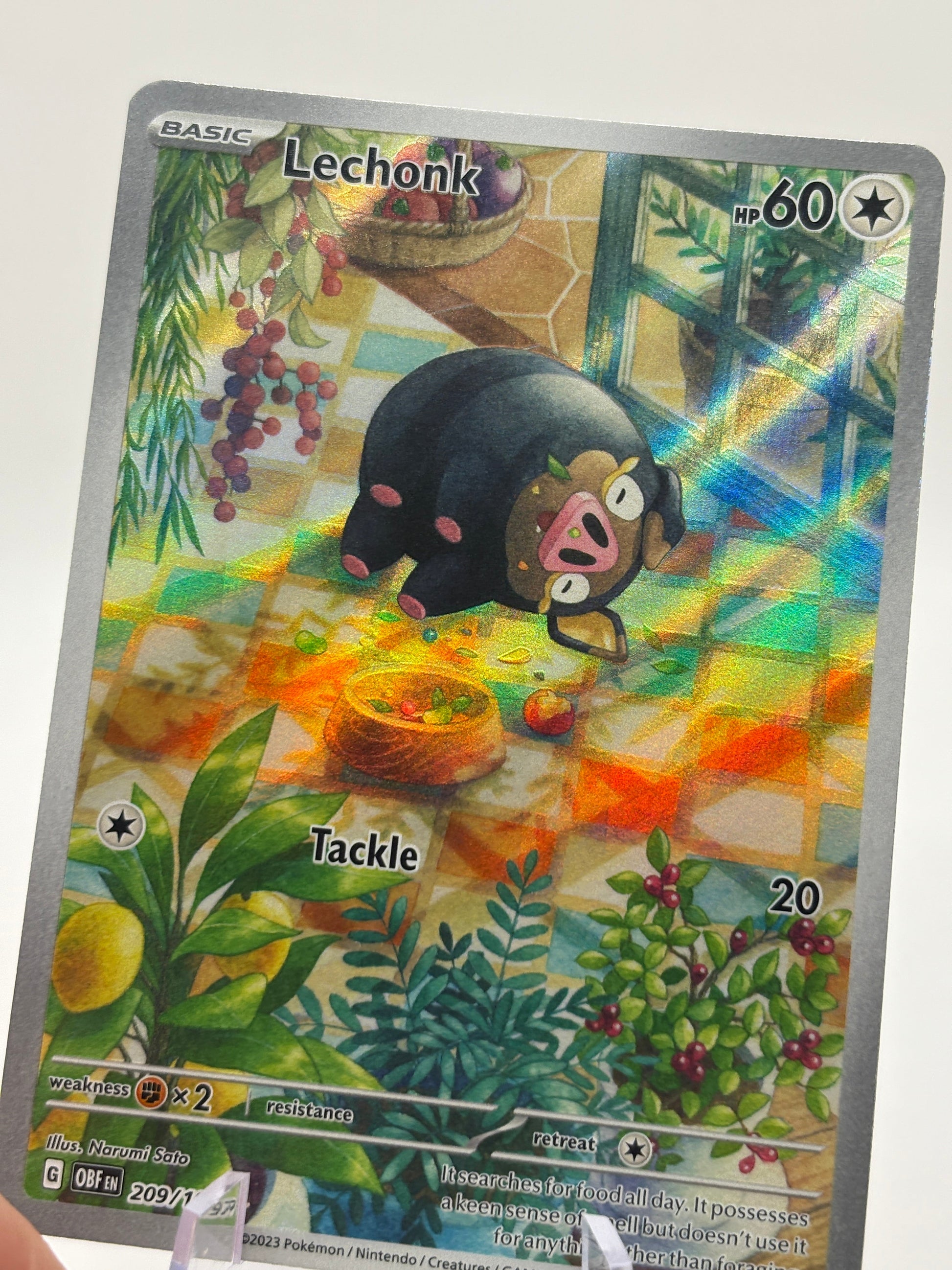Pokemon TCG Obsidian Flames - Lechonk 209/197 Illustration Rare NM FRENLY BRICKS - Open 7 Days