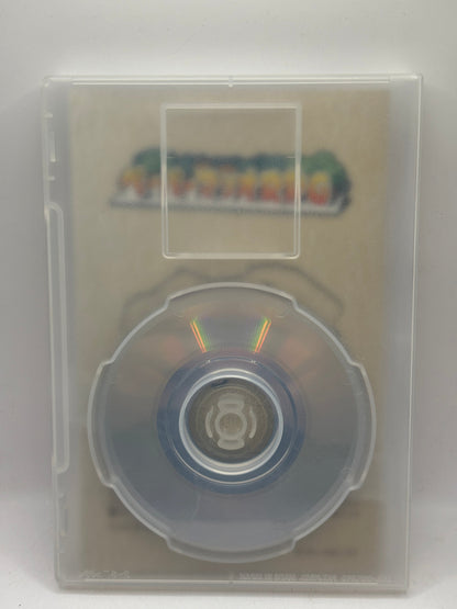 Nintendo Gamecube Paper Mario RPG - Japanese Video Game with Manual FRENLY BRICKS - Open 7 Days
