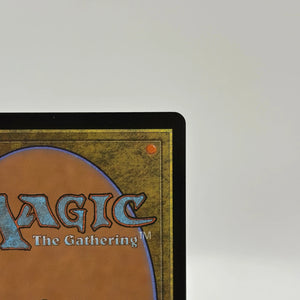 Magic The Gathering - Sword of Fire and Ice #0062 Special Guests LP FRENLY BRICKS - Open 7 Days