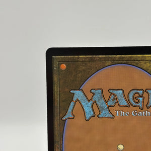 Magic The Gathering - Dawns Truce #0295 Rare BLB Bloomburrow LP FRENLY BRICKS - Open 7 Days