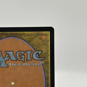 Magic The Gathering - Dawns Truce #0295 Rare BLB Bloomburrow LP FRENLY BRICKS - Open 7 Days