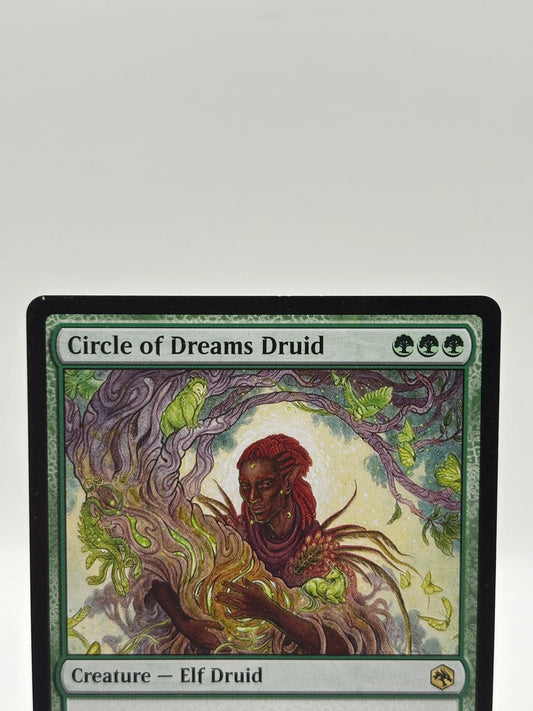 Magic The Gathering - Circle pf Dreams Druid Rare #176/281 AFR LP FRENLY BRICKS - Open 7 Days