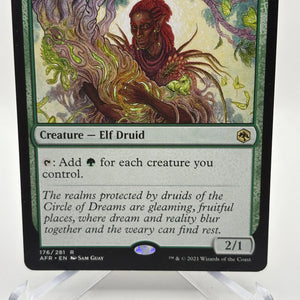 Magic The Gathering - Circle pf Dreams Druid Rare #176/281 AFR LP FRENLY BRICKS - Open 7 Days