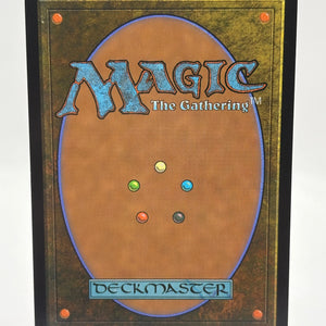 Magic The Gathering - Circle pf Dreams Druid Rare #176/281 AFR LP FRENLY BRICKS - Open 7 Days