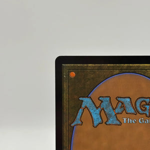 Magic The Gathering - Circle pf Dreams Druid Rare #176/281 AFR LP FRENLY BRICKS - Open 7 Days