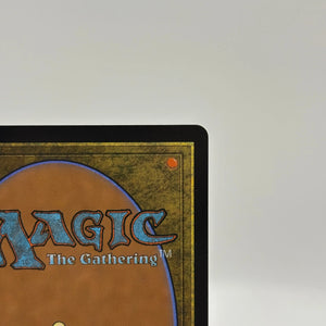 Magic The Gathering - Circle pf Dreams Druid Rare #176/281 AFR LP FRENLY BRICKS - Open 7 Days
