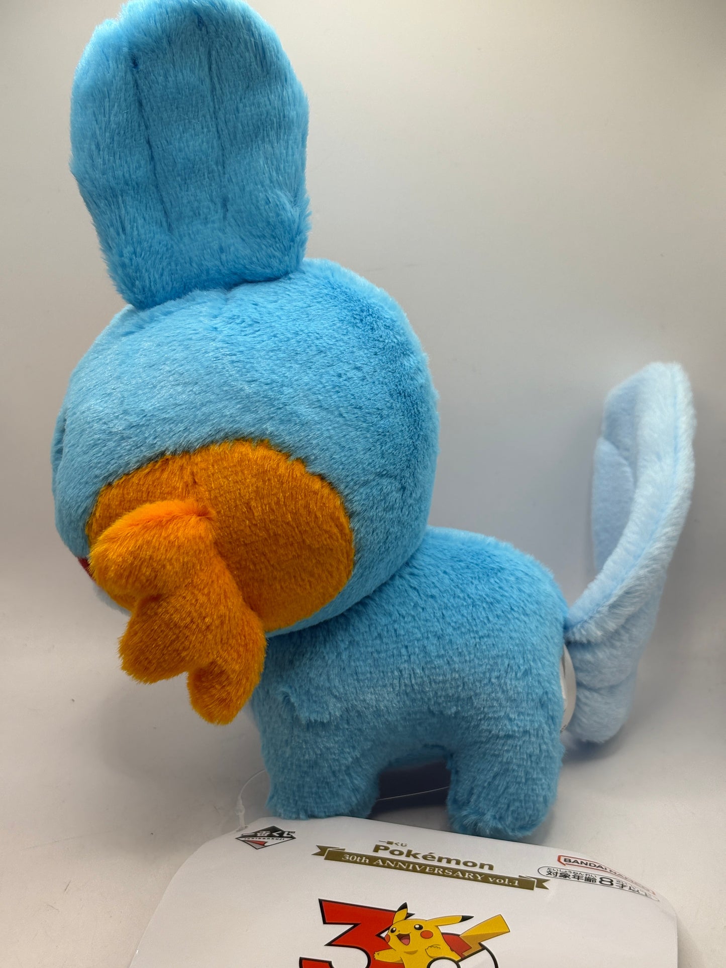 Ichiban kuji Pokemon 30th ANNIVERSARY vol.1 E Hoenn Mudkip Plush Toy FRENLY BRICKS - Open 7 Days