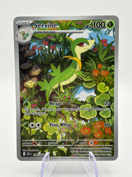 Pokemon TCG Black Bolt - Servine 088/086 Illustration Rare NM FRENLY BRICKS - Open 7 Days