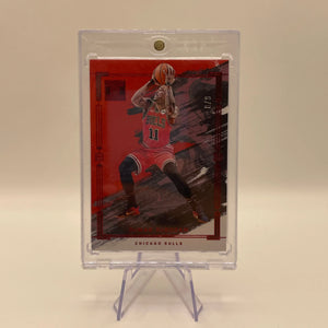 NBA Auto & Graded Chicago Bulls  card lot,bundle - Patrick Williams + more (lot#56) FRENLY BRICKS - Open 7 Days