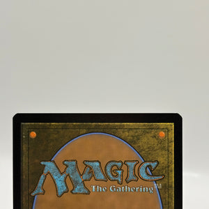 Magic The Gathering TMNT - Leonardo, The Balance M 0083 Foil FRENLY BRICKS - Open 7 Days