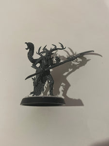 Warhammer AOS Sylvaneth Branchwych #1