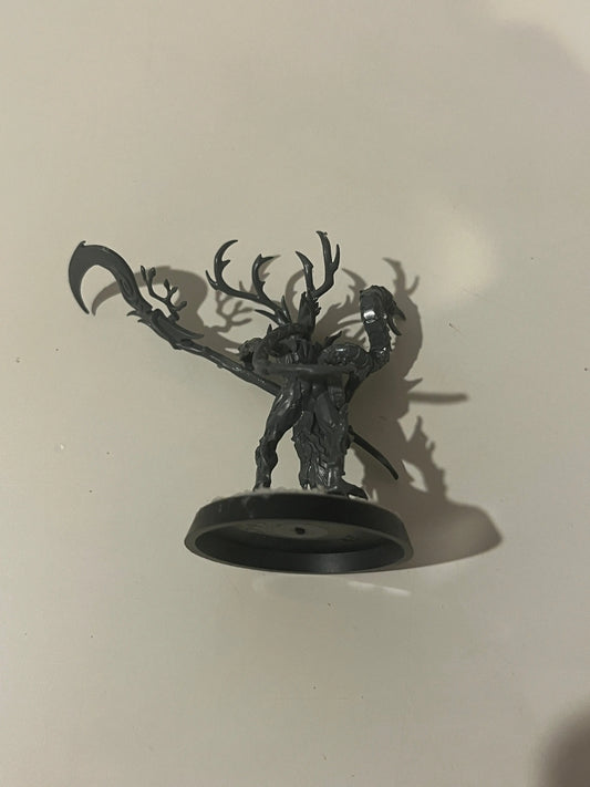 Sylvaneth Branchwych #1 FRENLY BRICKS - Open 7 Days