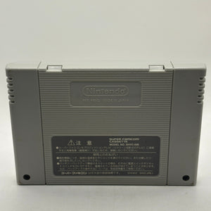 Super Famicom Nintendo Japanese Dragon Quest VI Game Cartridge FRENLY BRICKS - Open 7 Days