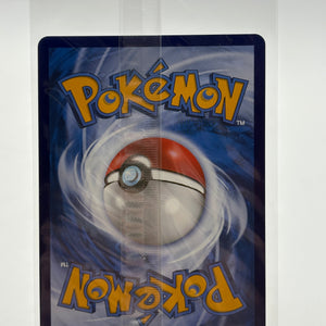 Pokemon TCG CSMC Dedenne Full Art Holo 004/012 Sealed FRENLY BRICKS - Open 7 Days