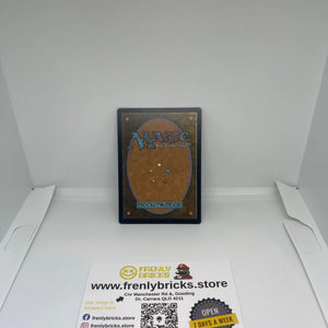 MTG Overlord of the Hauntwoods Extended Art #0383 Duskmourn DSK NM FRENLY BRICKS - Open 7 Days