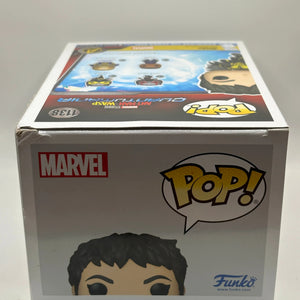 Funko POP! Marvel Quantumania #1138 Wasp Limited Chase Edition FRENLY BRICKS - Open 7 Days