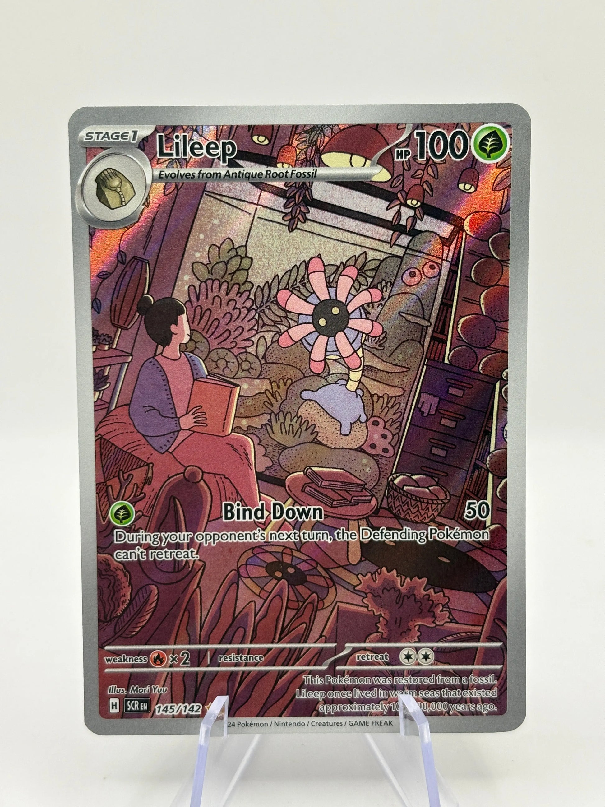 Pokemon TCG Stellar Crown - Lileep 145/142 Art Rare NM FRENLY BRICKS - Open 7 Days