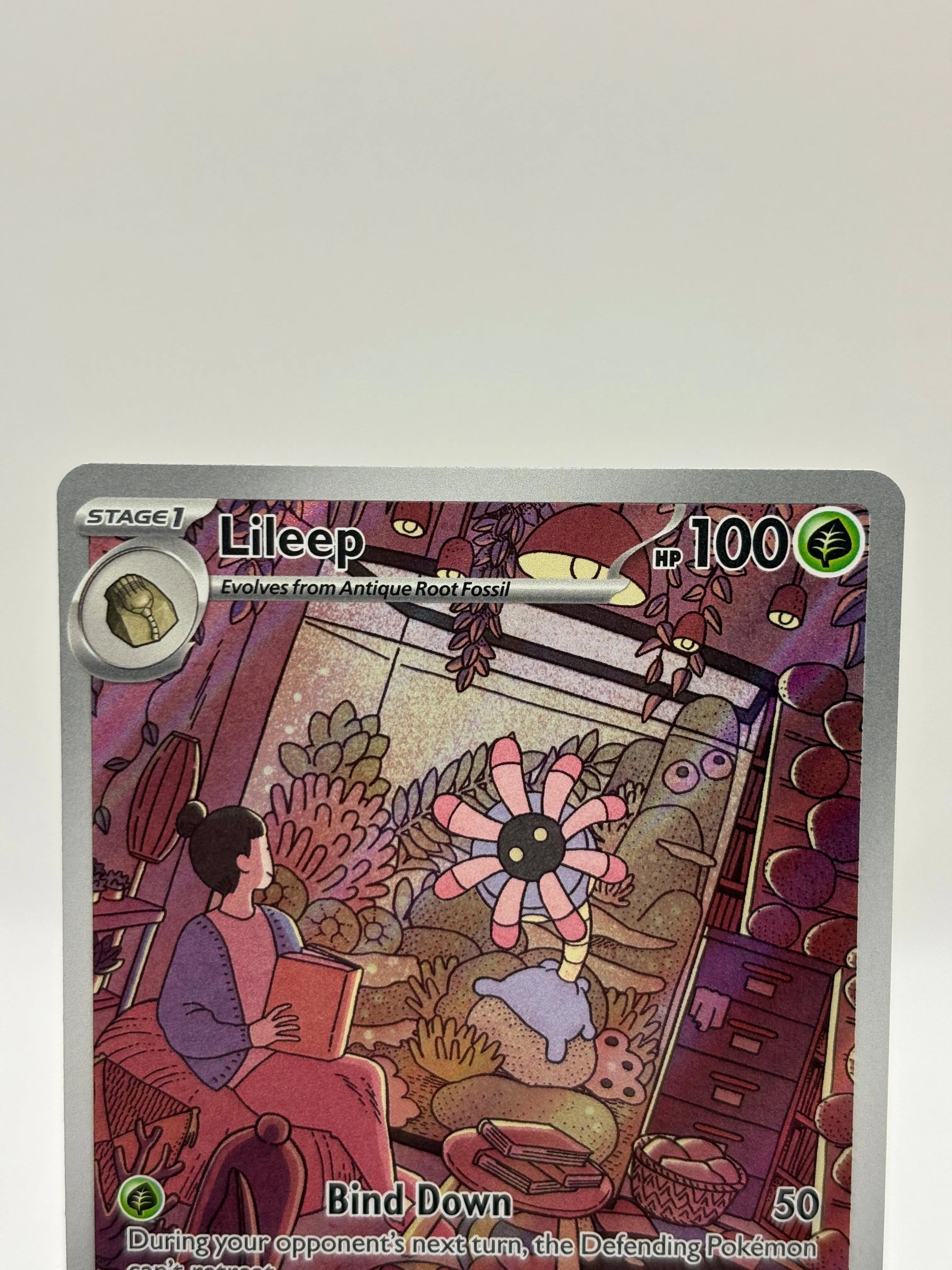 Pokemon TCG Stellar Crown - Lileep 145/142 Art Rare NM FRENLY BRICKS - Open 7 Days